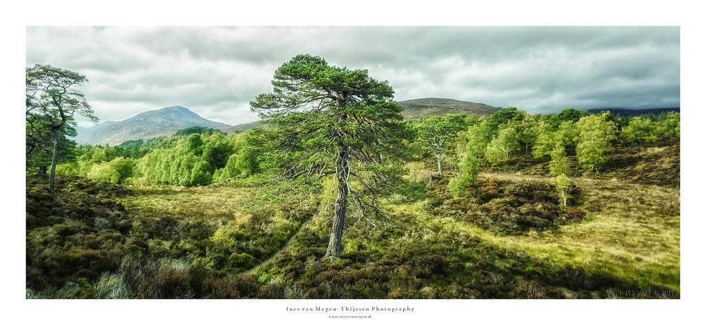 Cinematic Landscapes: How Nature Shapes Visual Aesthetics